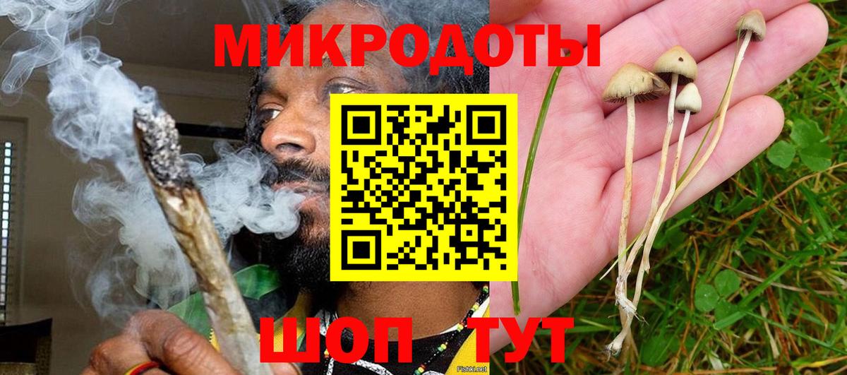 Галлюциногенные грибы ЛСД Заринск